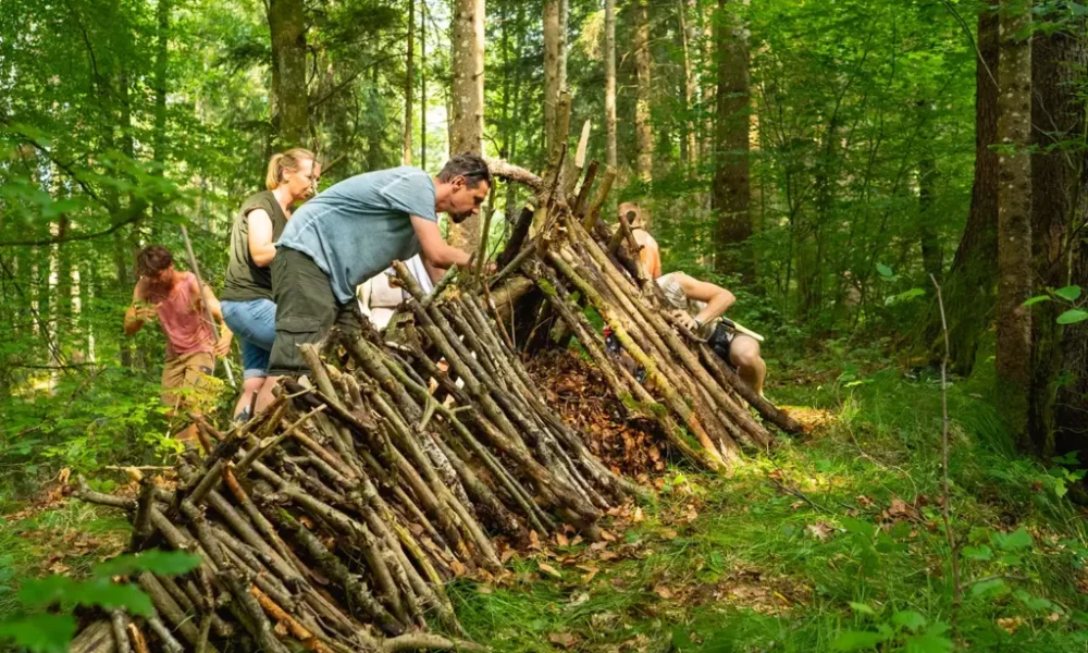 laubhütte bauen, unterschlupf in einer notsituation