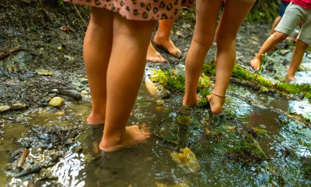 familienkurs bei erlebenraum natur