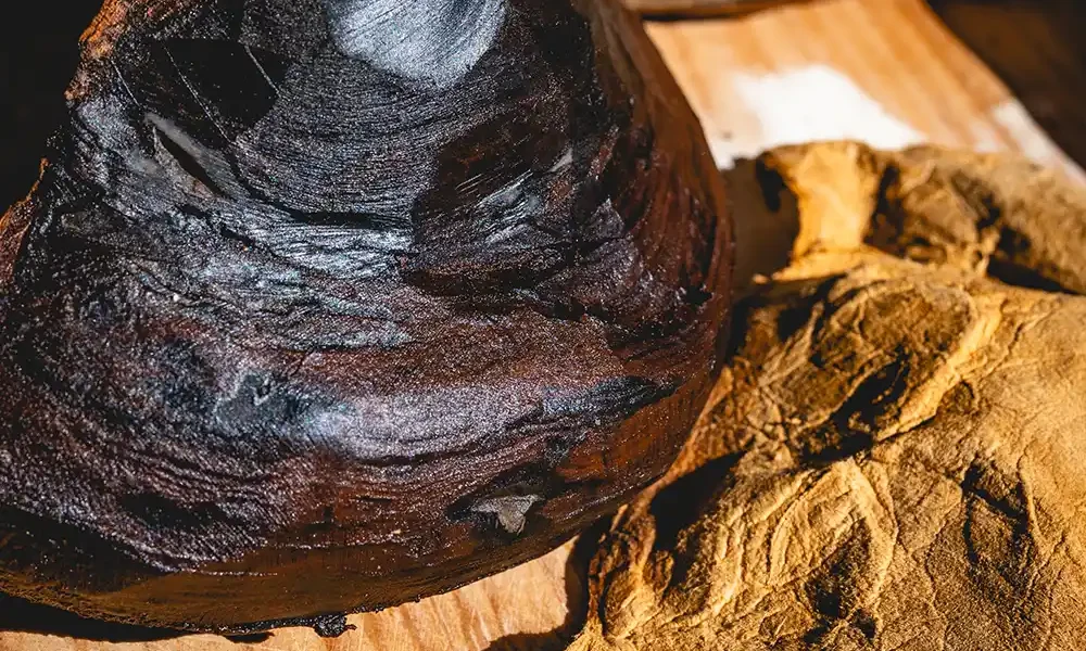 Zunderschwamm-Slider-04