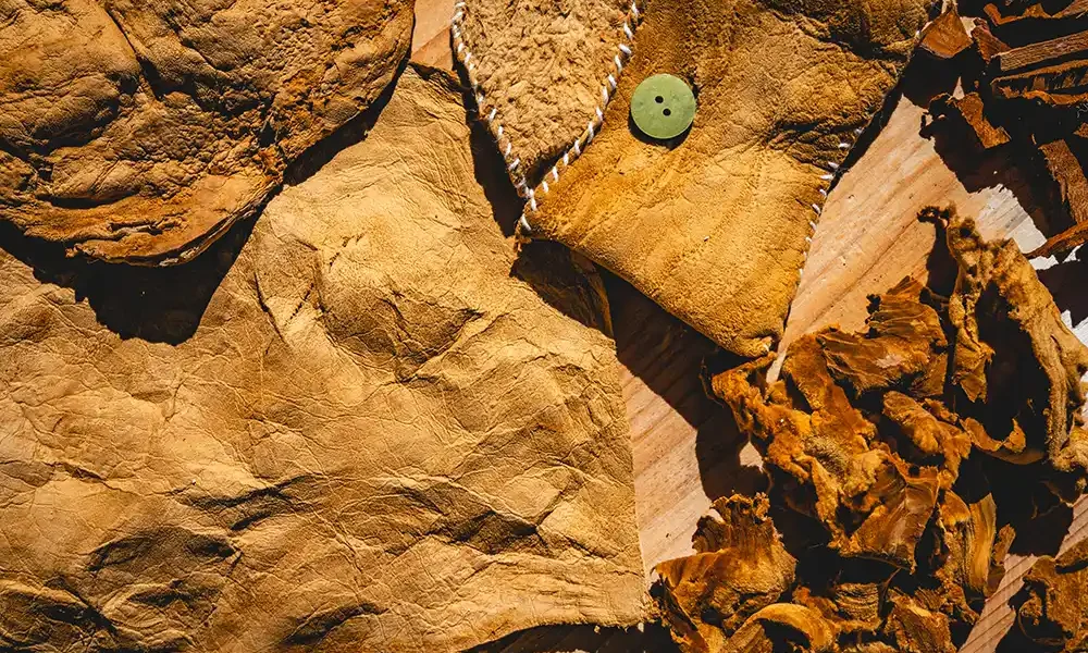 Zunderschwamm-Slider Zunderschwamm-Slider