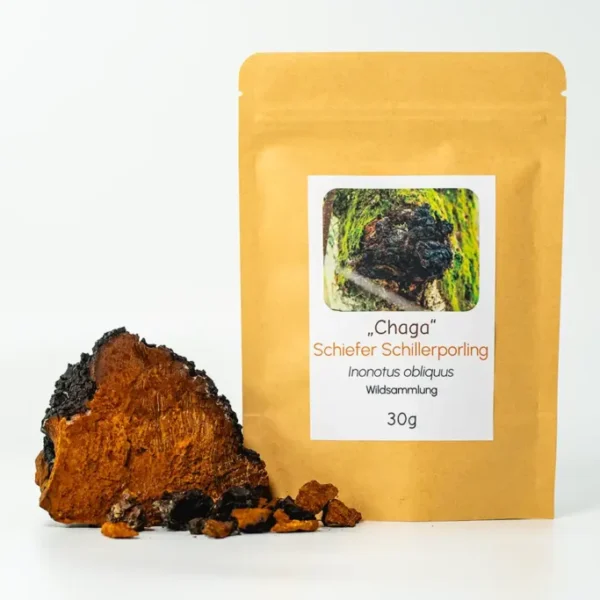 Chaga